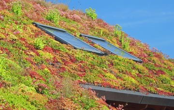 Higher Weaver living roof systems
