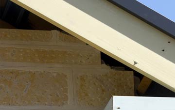 soffit repair Higher Weaver